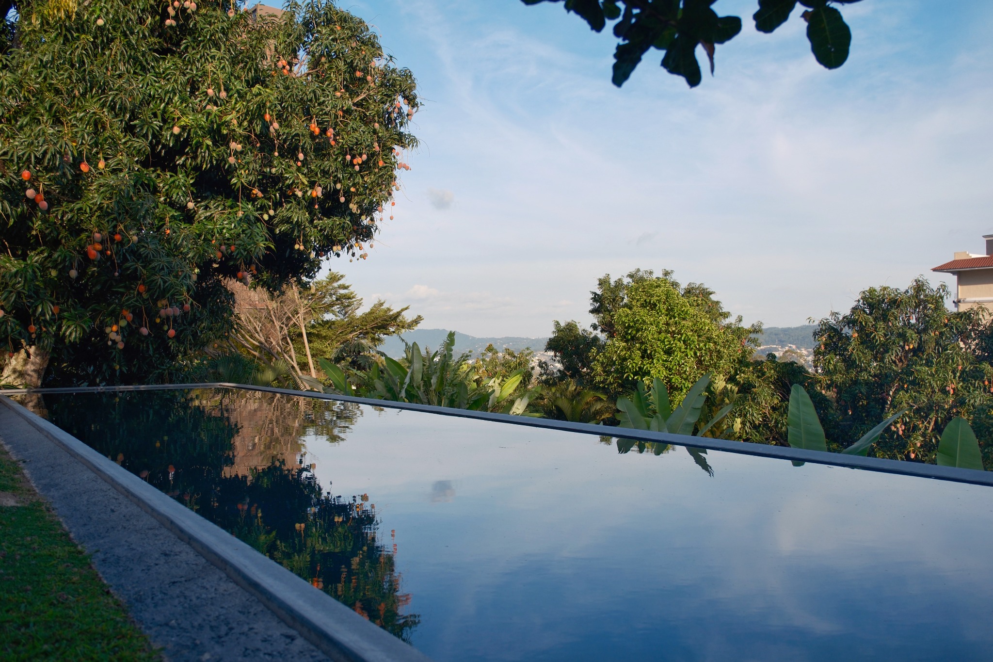 Green view from a residence in El Salvador